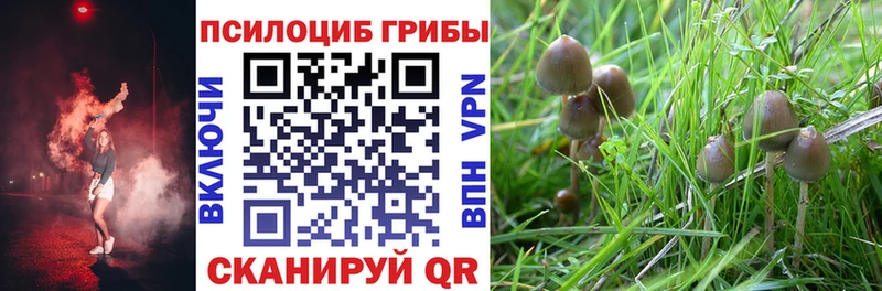 сколько стоит  блэк спрут ONION  Галлюциногенные грибы MAGIC MUSHROOMS  Межгорье 